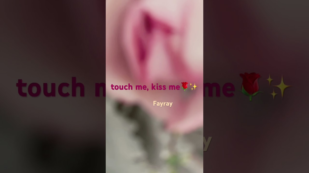 touch me  kiss me🌹✨Fayray #piano #ピアノ