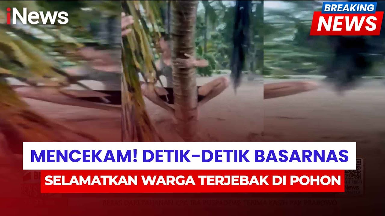 Basarnas Evakuasi 900 KK dan 99 Jiwa, Warga Terjebak di Pohon Berhasil Diselamatkan | Breaking News