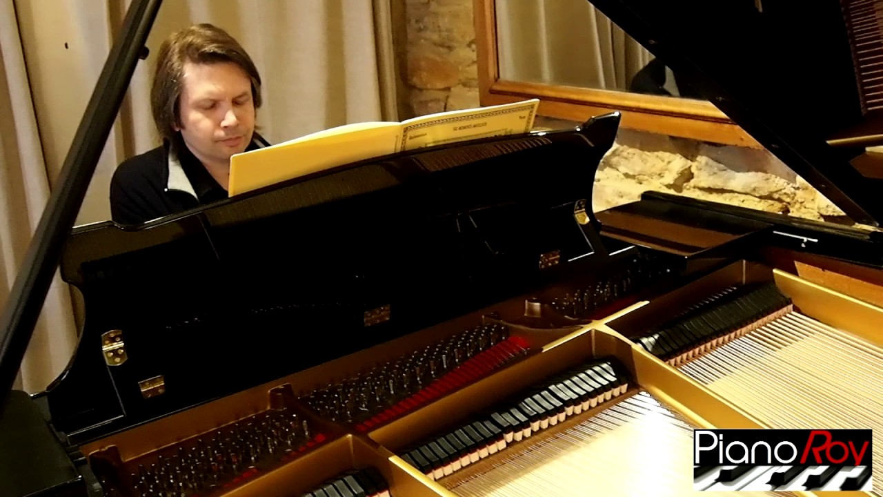 Steinway de Piano Roy