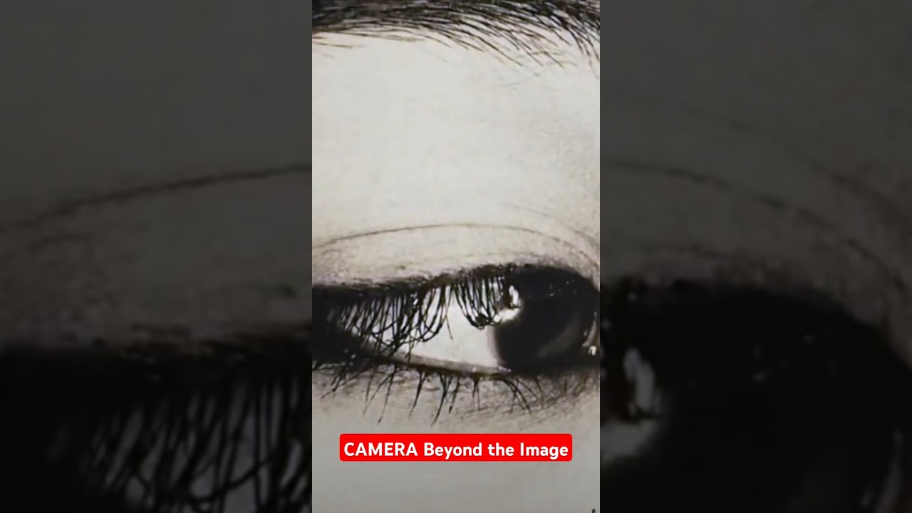 #85 CAMERA book review: Tokyo Still Life by Nobuyoshi Araki