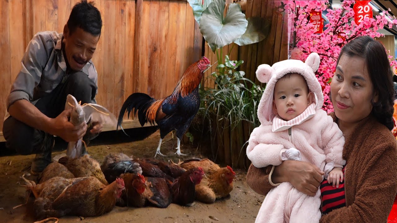 Grandpa Finally Learns the Whole Truth About the Woman Who Hurt Thuy /SUNG A PAO