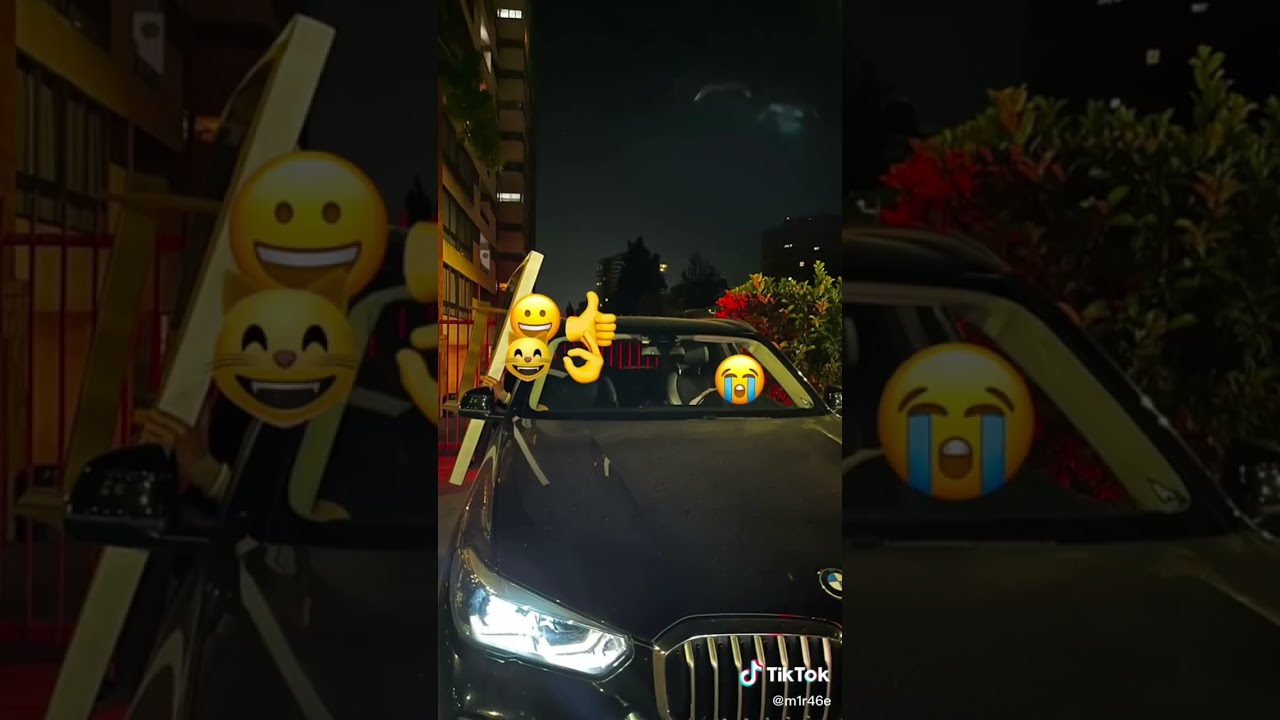 People Stealing FNAF 2 Cutouts - TikTok compilation