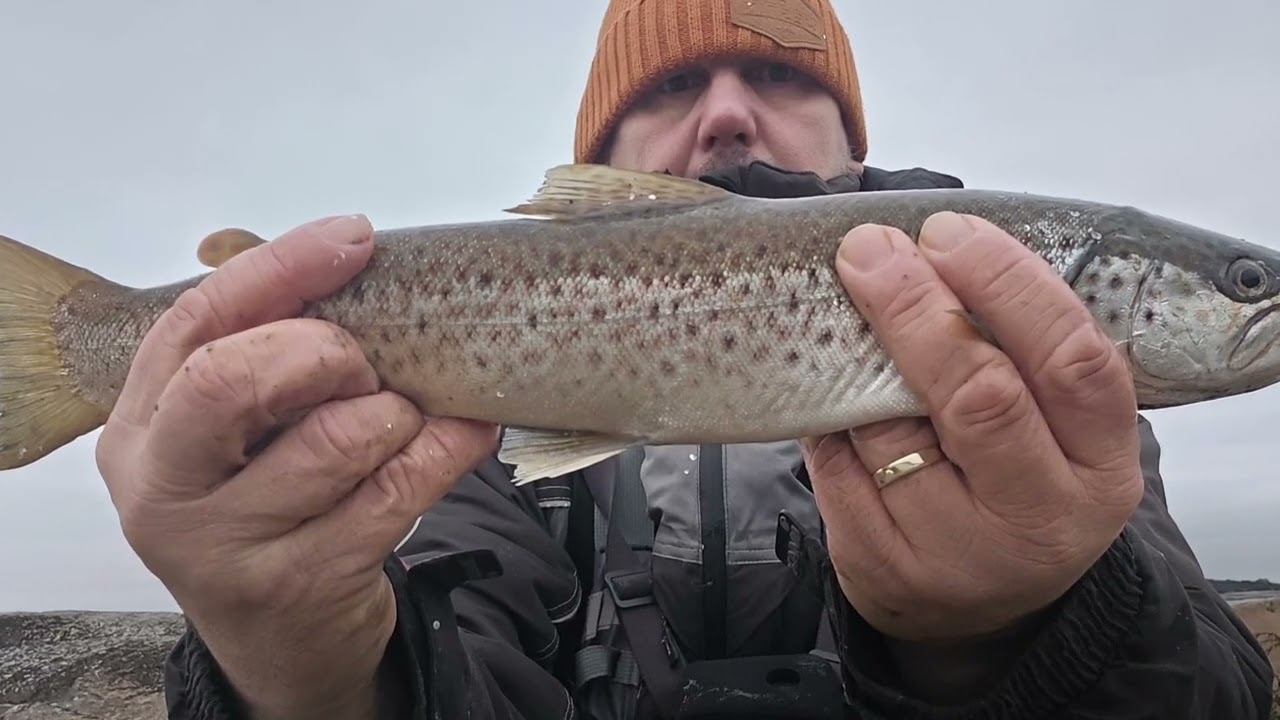 Zimno ale warto! Ładna TROĆ  w podbieraku i test nowych woderów🇵🇱🇧🇻🦈