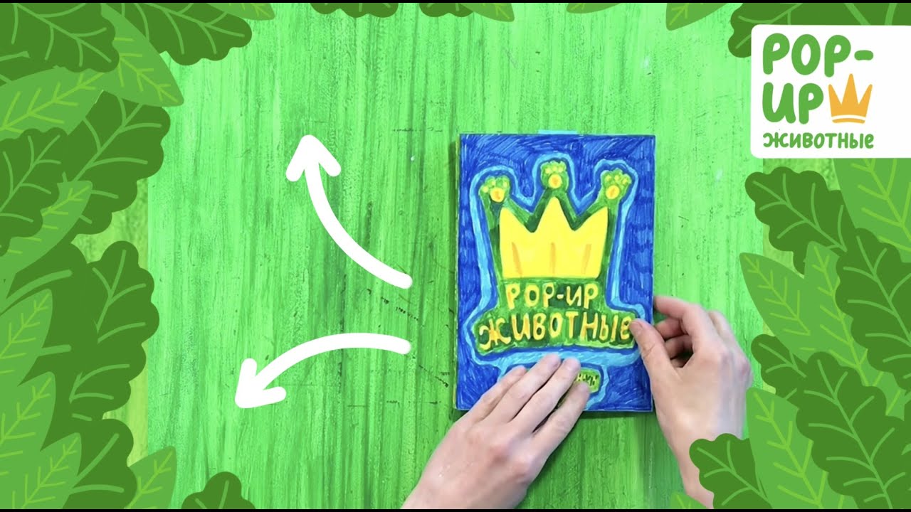 Pop-up книга «Животные» версия Дарьи Ступенькиной. Лев, медведь, пингвин, кенгуру, эму, слон, кит