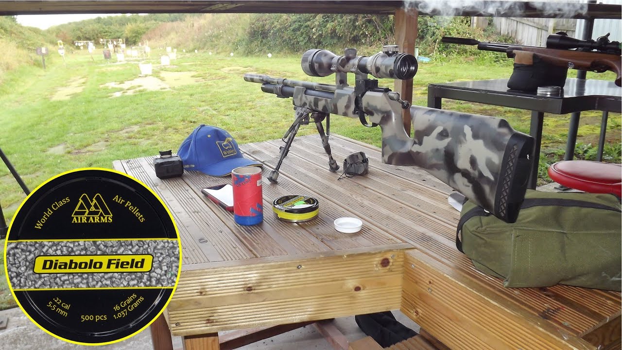 The Air Arms S200 and Air Arms Diabolo Field at 30 yards