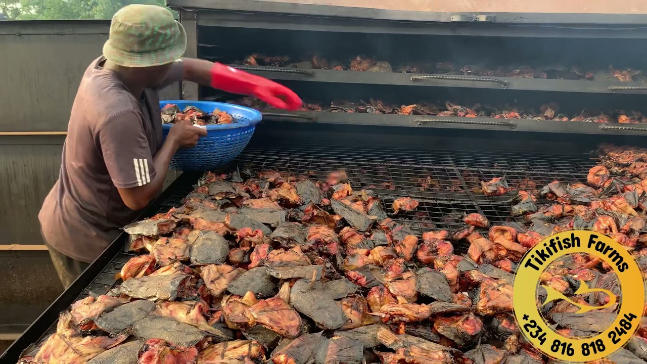 Wood oven Catfish smoking at Tikifish smokehouse.