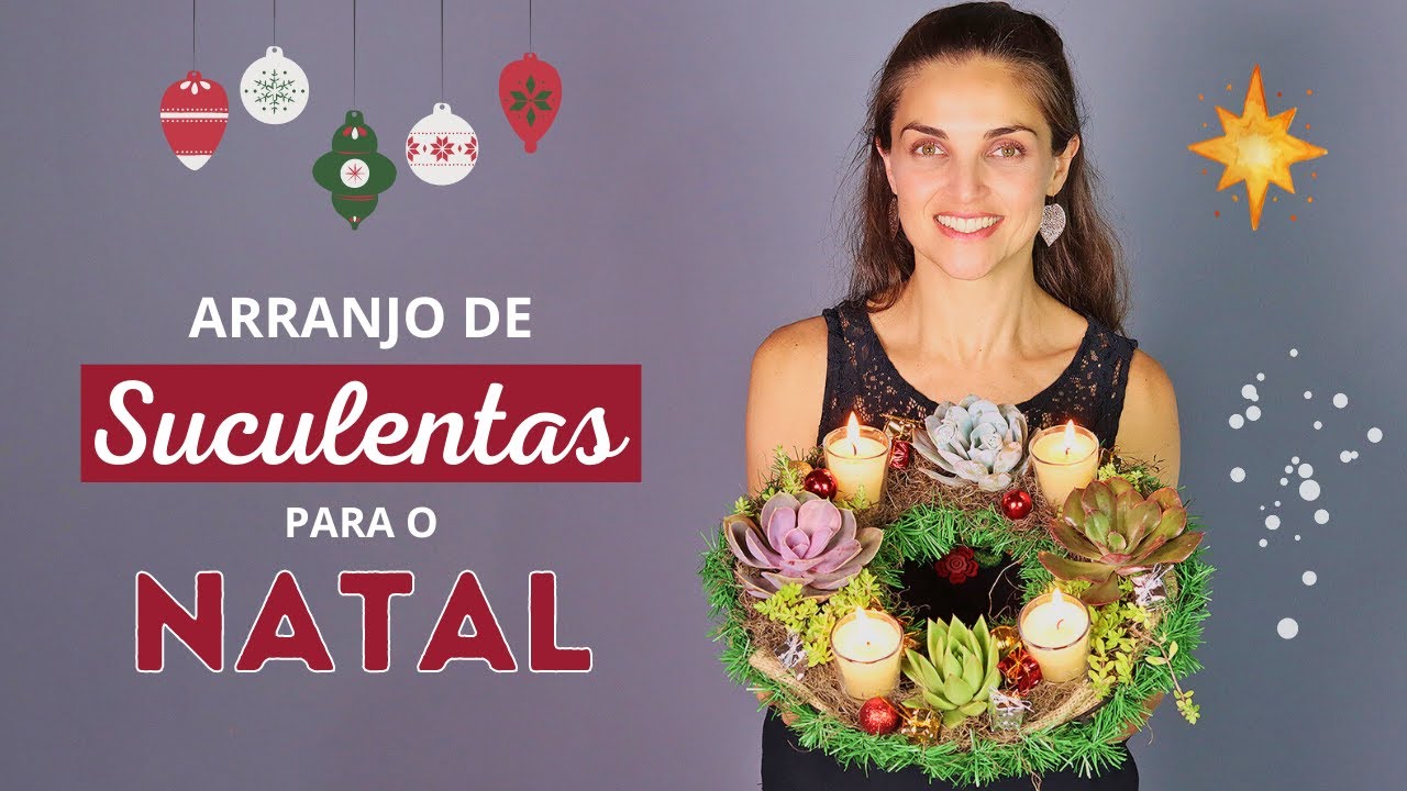 ARRANJO de SUCULENTAS para o NATAL 🎅🏼🌿❤️