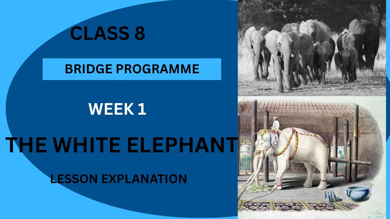 Class 8 NCERT Bridge Course - The White Elephant | Lesson Explanation (English)