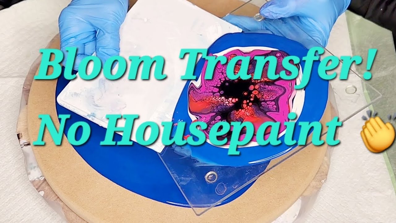 NO Housepaint Bloom Transfer🩷 #fluidart #bloomtechnique