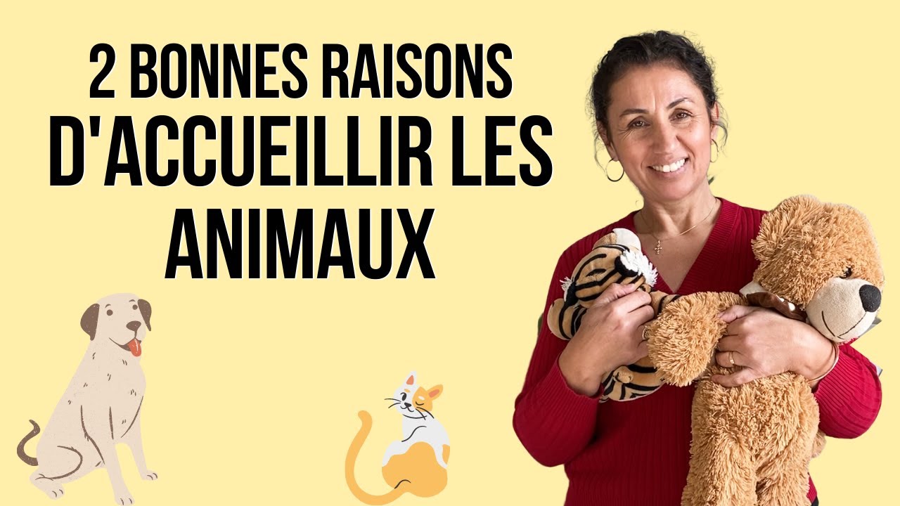 ACCEPTER LES ANIMAUX dans ma location courte durée AIRBNB - Quels bénéfices et contraintes ??