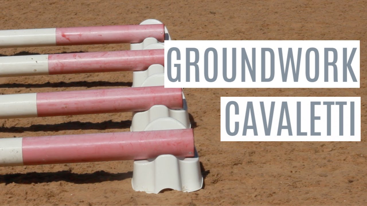 GROUNDWORK CAVALETTI  | IN-HAND EXERCISES