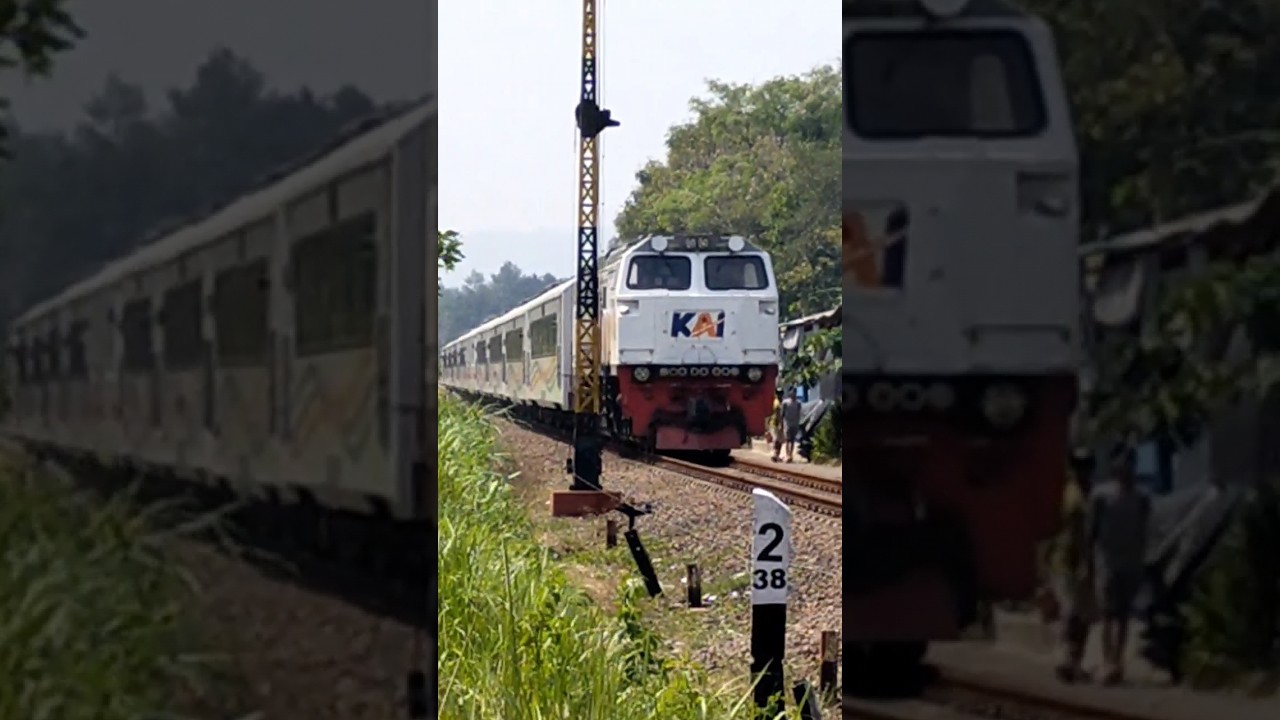 KERETA ELIT MALANG - SURABAYA PP 