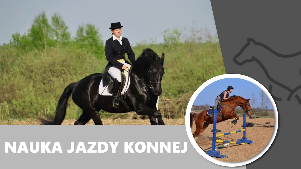 Stadnina koni Derc Elf Stajnia. Ekologiczne gospodarstwo agroturystyczne