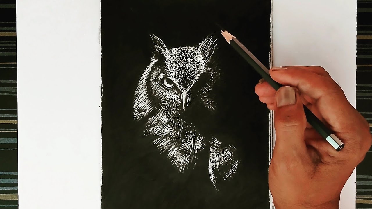 How to draw a black and white view of an owl for wall decoration?