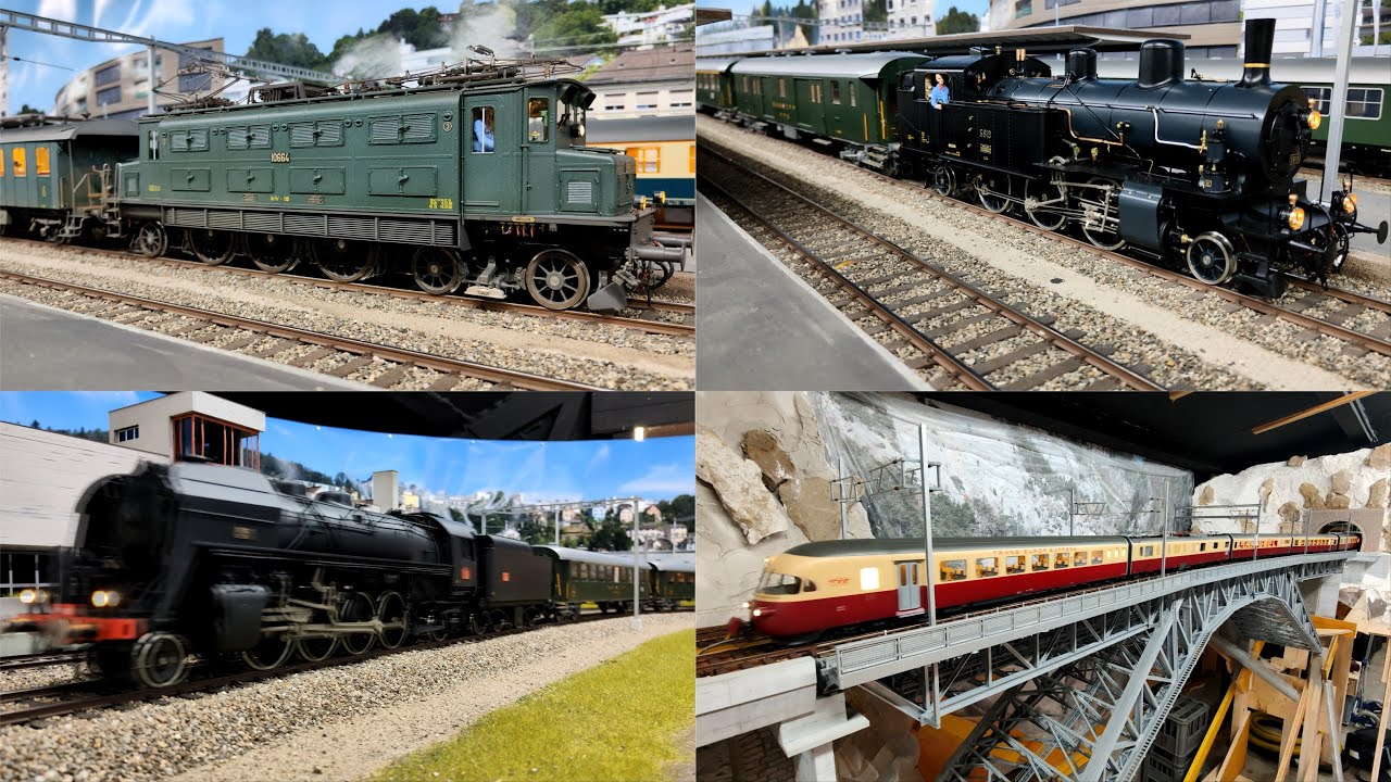 Auf Besuch: SBB RAe II Doppeltraktion, SBB Eb 3/5, SBB Ae 3/6 I, SNCF 141 R Spur1