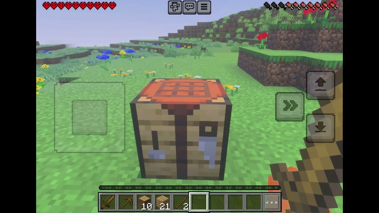 Minecraft video