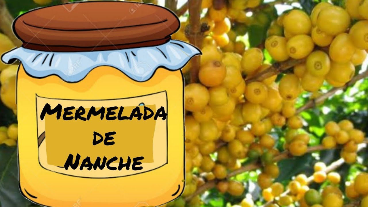 Mermelada de Nanche  casera