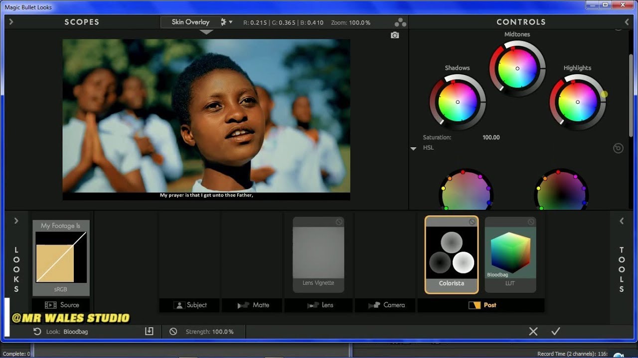 MAGIC BULLET LOOKS__kwenye Vegas Pro 15