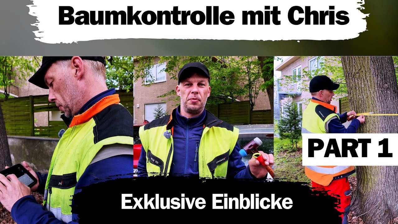 Baumkontrolle mit Chris | Einblicke | Baumwissen | Verkehrssicherheit