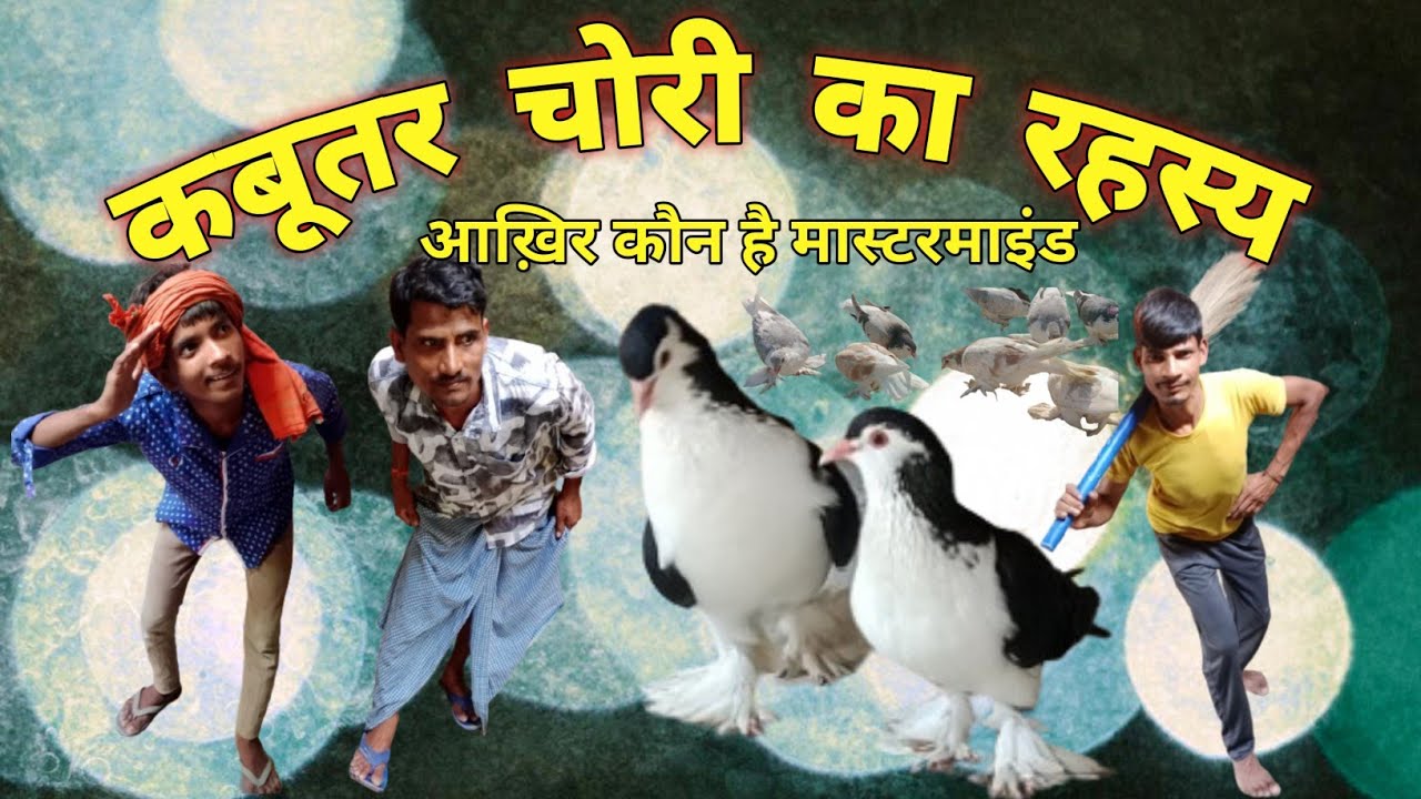 कबूतर चोरी का रहस्य | आख़िर कौन है मास्टरमाइंड  😱😱 | comedy funny video🤣😂