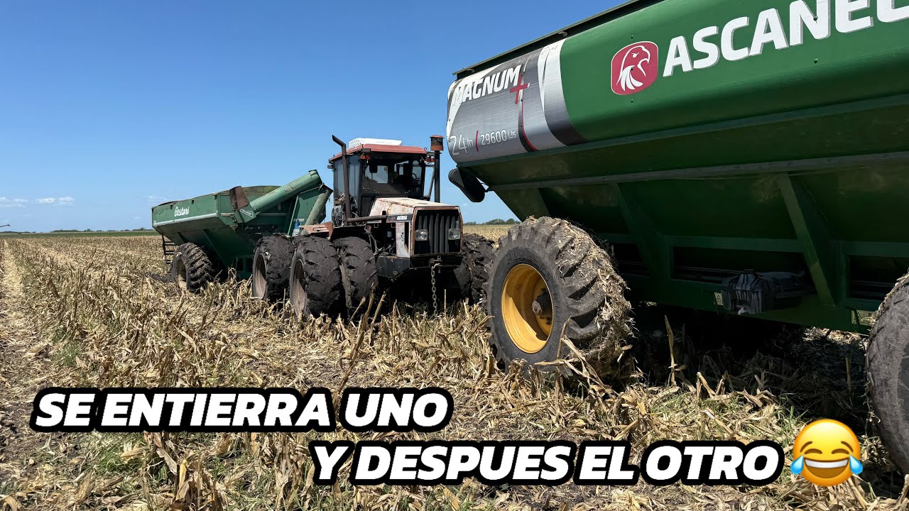 INTENTANDO COSECHAR el MAIZ en el BARRO! ENTERRADOS con las TOLVAS!!! 😅🤦🏻‍♂️