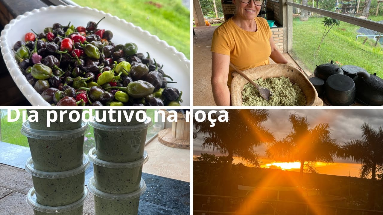 Um dia simples na roça 🌶️🌱 | tempero caseiro, pomar e um entardecer perfeito