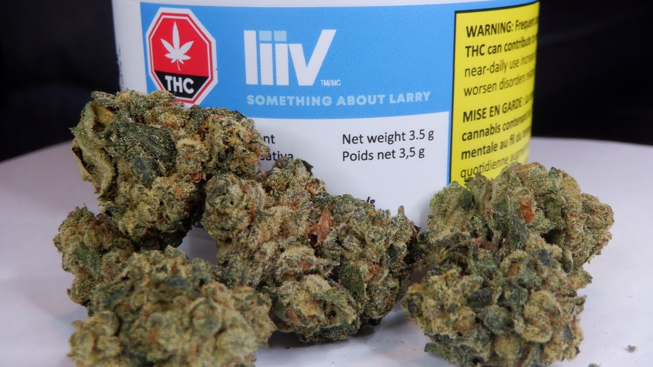 Strain Review Something About Larry By Liiv