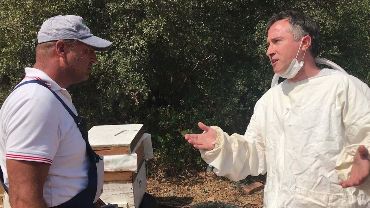 Arıcılıkta Sonbahar Kış bakımları-1. Dr. Ömür UYGUR.