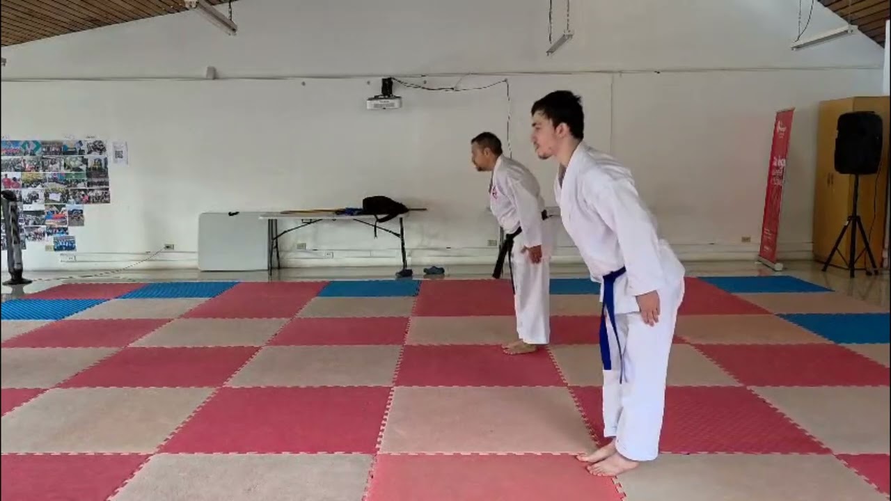 Pinnan Sandan