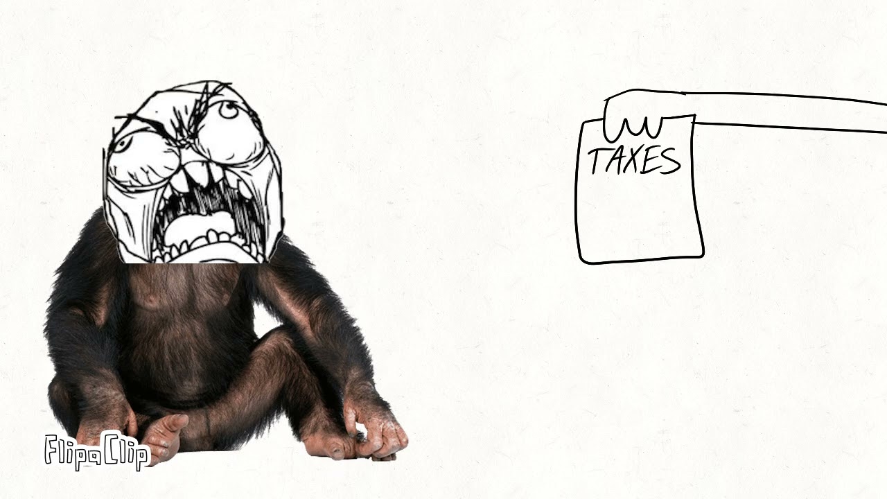 Human Evolution explained in 8 seconds