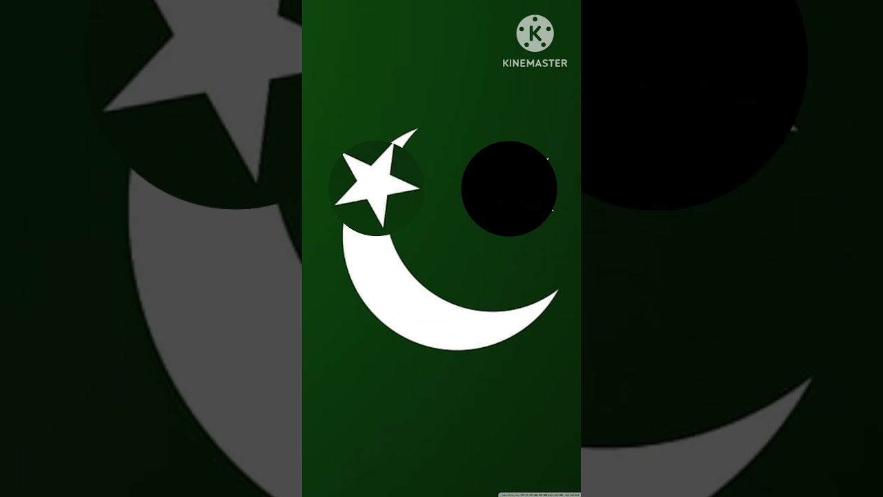 Stop The Pakistani flag #music #phonkmusic #audio