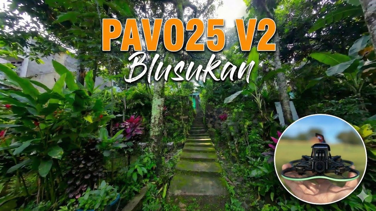 Pavo25 V2 Blusukan Rate Profile By Om @tawonplastikfpv 