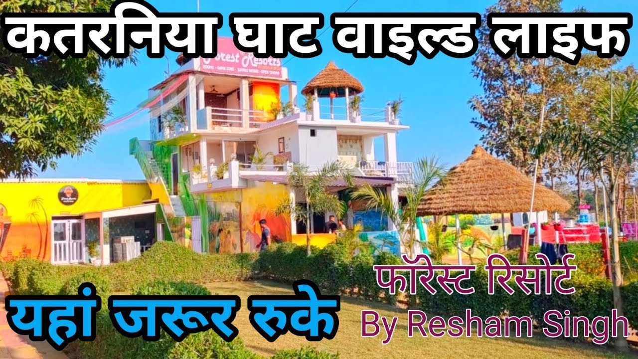 कतरनिया घाट वाइल्डलाइफ: यहां रुकने से पहले ये जान लीजिए (Katarniya Ghat Wildlife