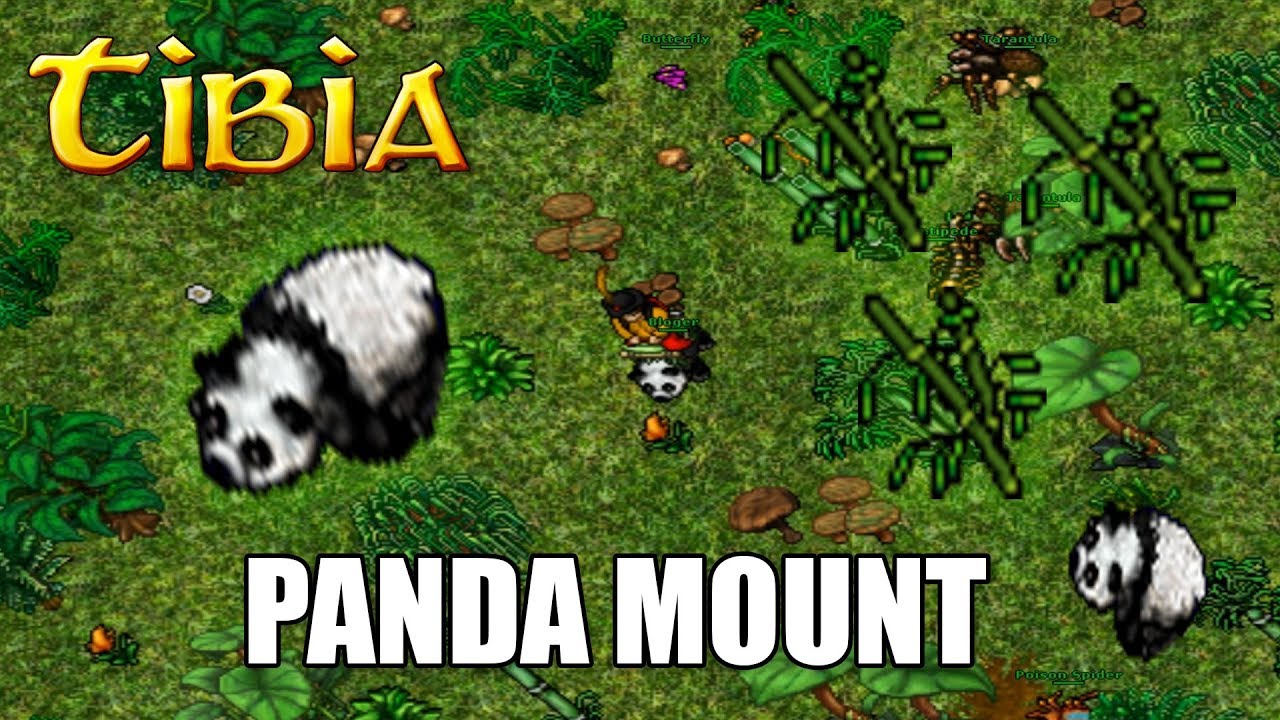 PANDA OSWOJONA - PANDA MOUNT - Tibia - Gdzie łapać? - PORADNIK