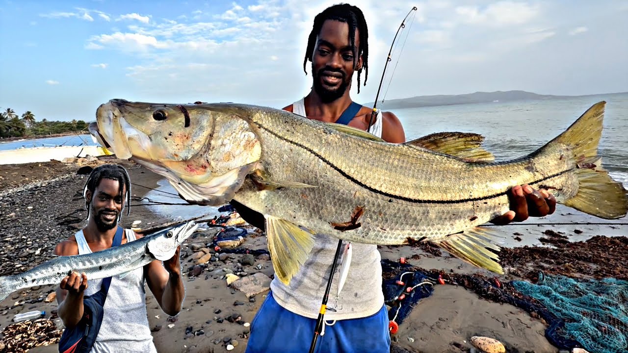Monster Snook & Barracuda Battle in the shallow water unbelievable catch