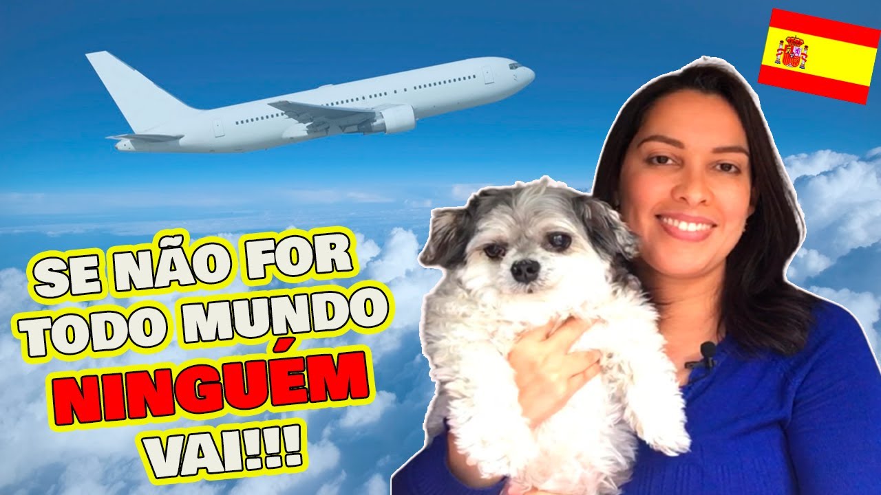 Como VIAJAR com seu PET | TUDO O QUE VOCÊ PRECISA SABER | Viagem de AVIÃO