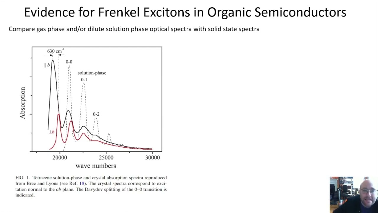 Zoology of Excitons Lecture 03 Frenkel and Molecular Excitons