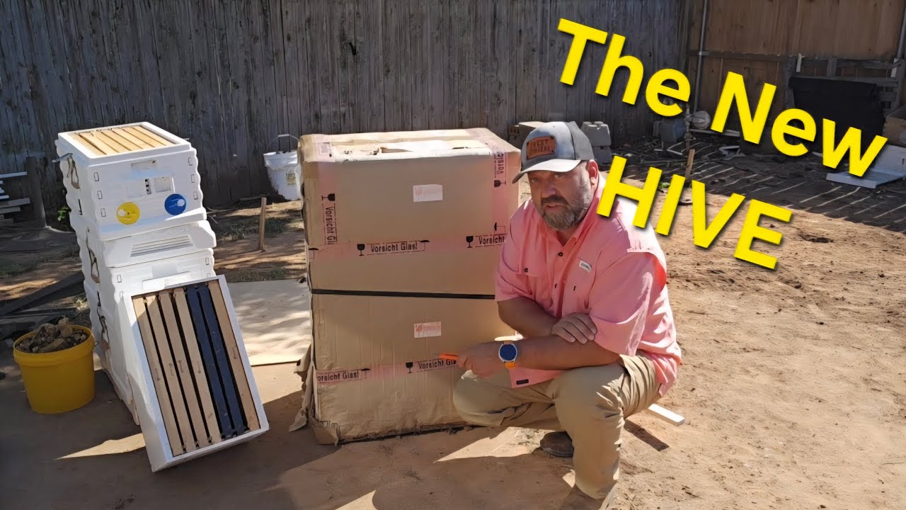 The Newest Hive we are adding