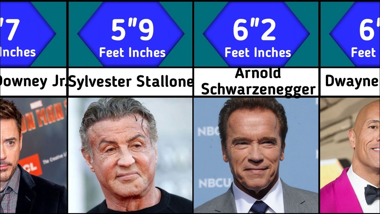 Hollywood Actor Height 2023 | Who's the Tallest?