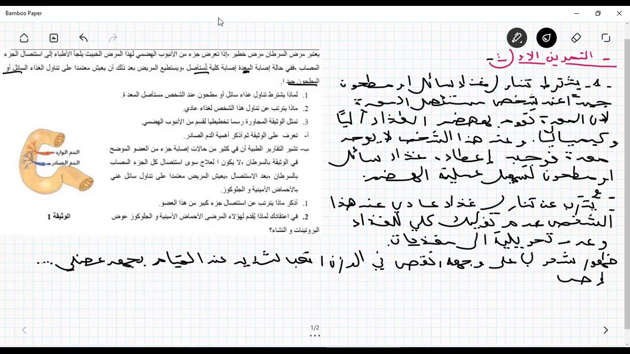 حل تمرين جيد خاص بالهضم عند الانسان للسنة الرابعة متوسط