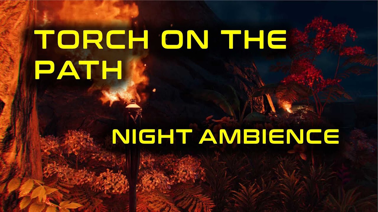 Torch on the Path [ Fire at Night Ambience ] Far Cry