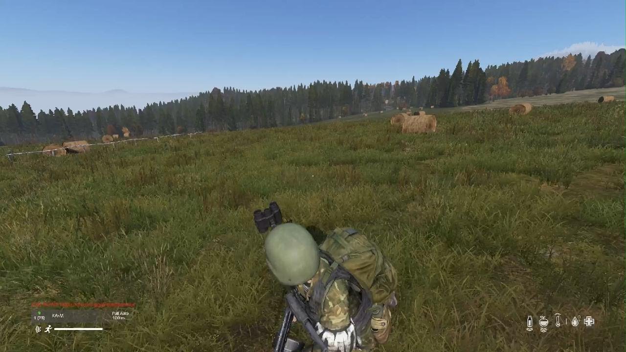 DayZ_20260207153115