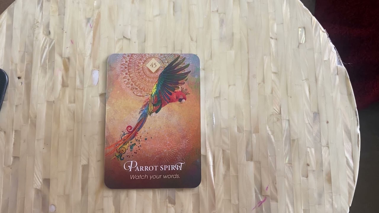 Daily Animal Spirit Oracle Reading 🦅  Guidance for Today