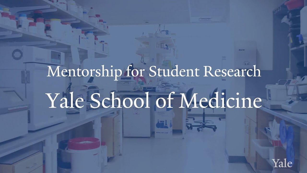 What Is The Role of Mentorship In Student Research?