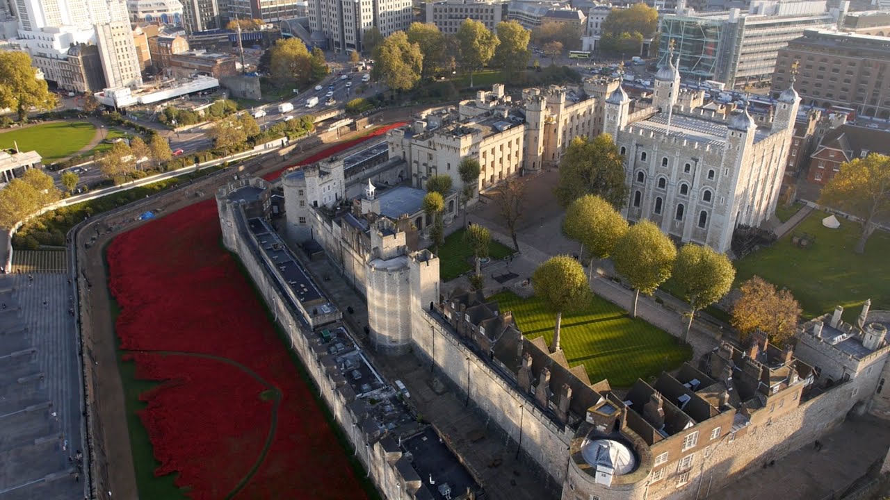 The Tower Poppies from above