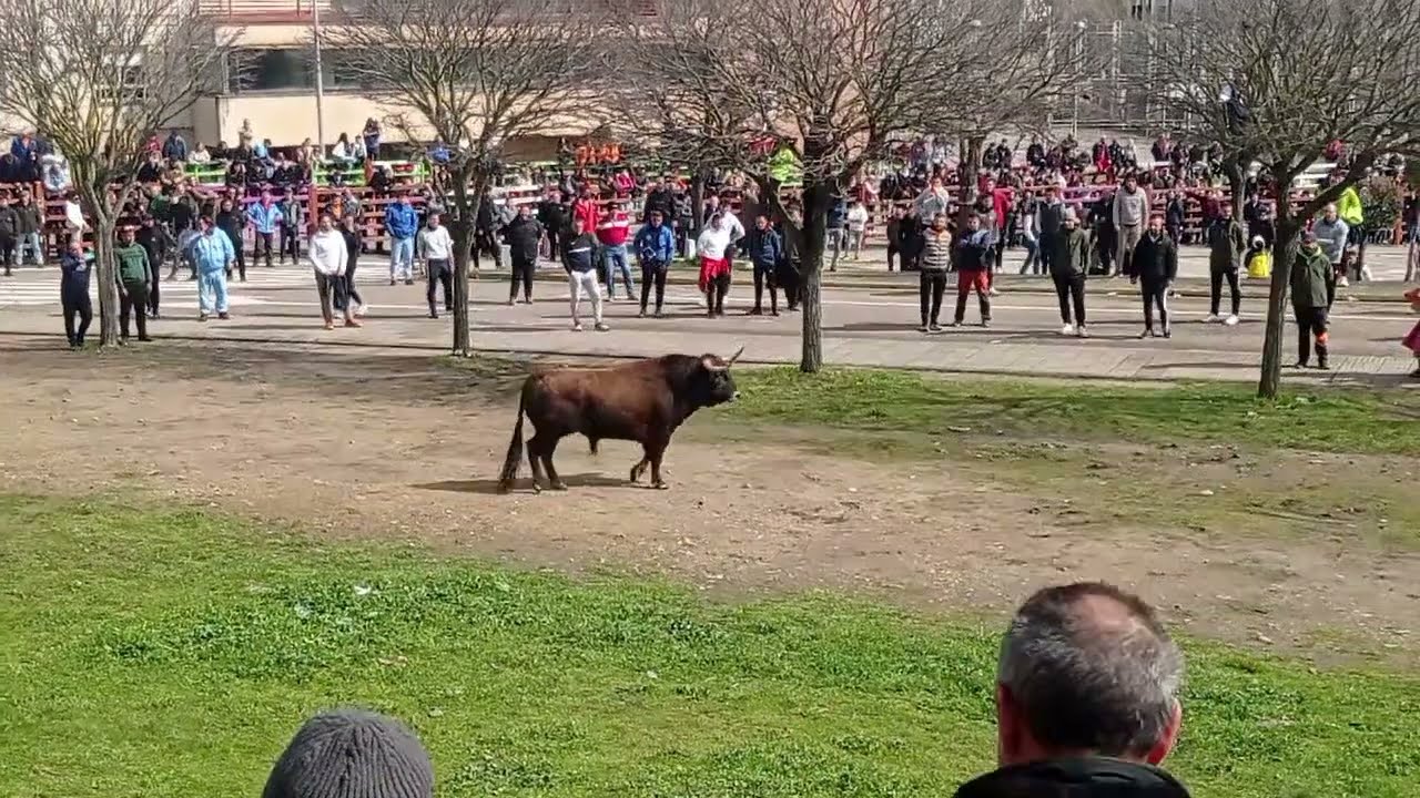 CARNAVAL DEL TORO 2025,,,  CIUDAD RODRIGO