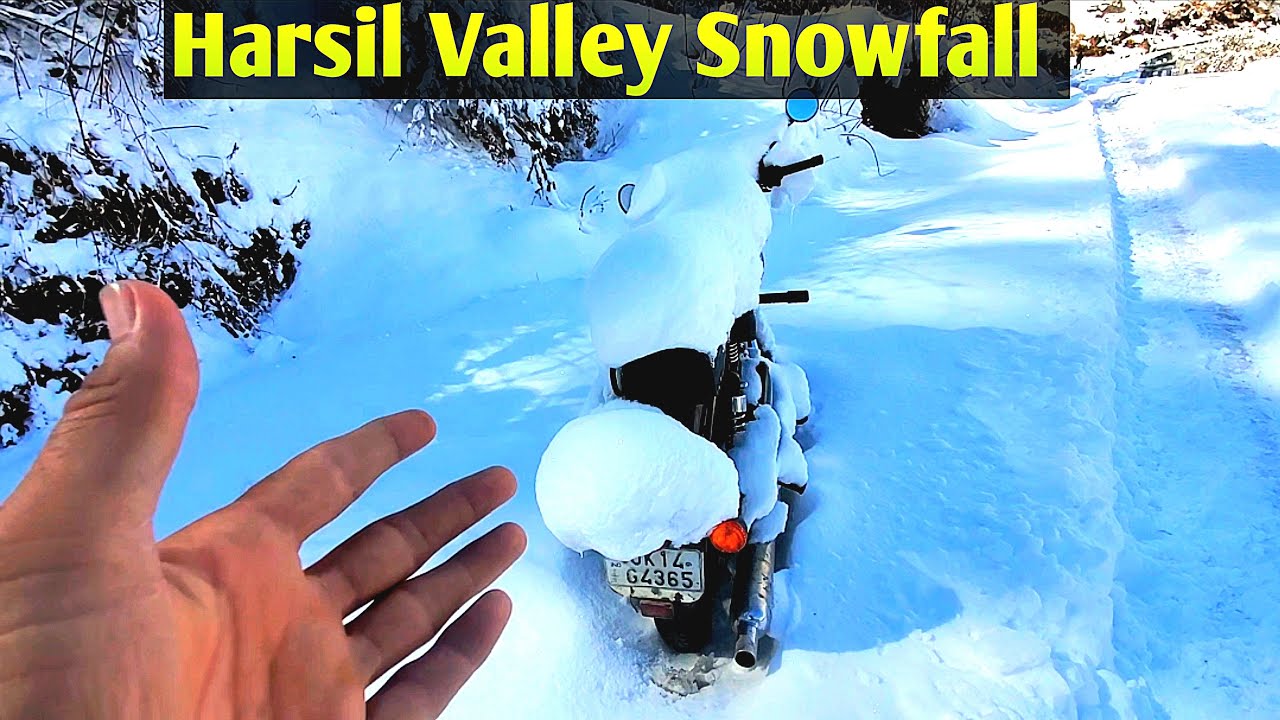 Harsil Valley | Harsil Valley Snowfall | Harsil Valley Uttarakhand #trending #viralvideo #video
