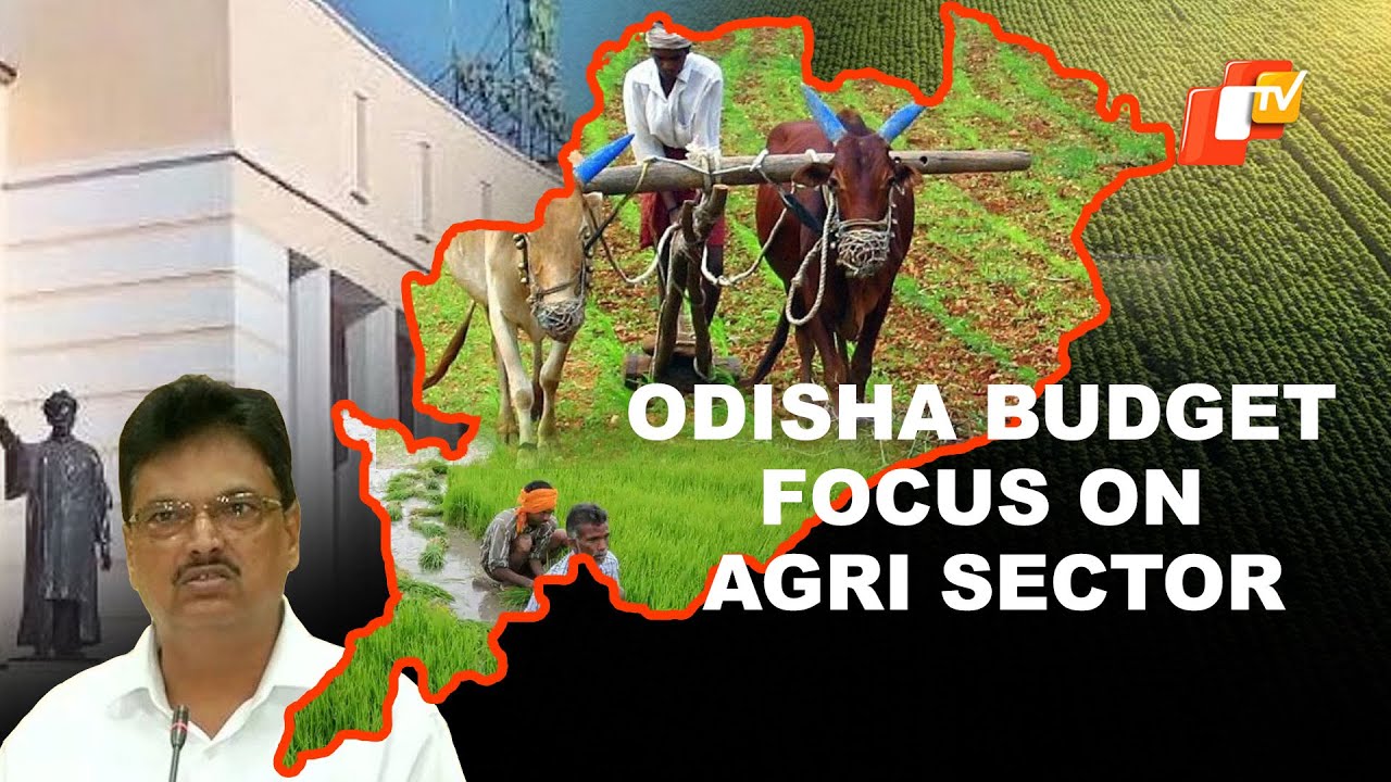 Odisha Budget 2023 - Agriculture Gets Rs 24829 Cr, Paddy Fund Rs 2000 Crore
