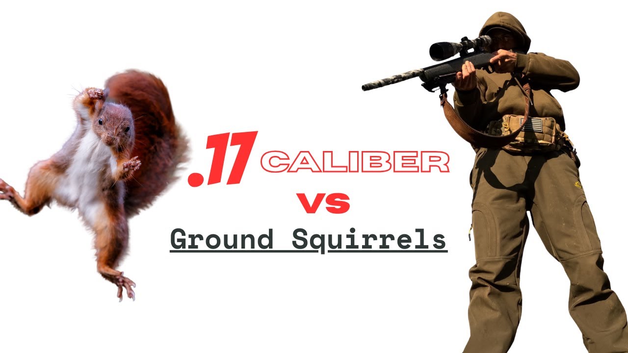 Deleting The Invasive Ground Squirrel With .17HMR Ammo