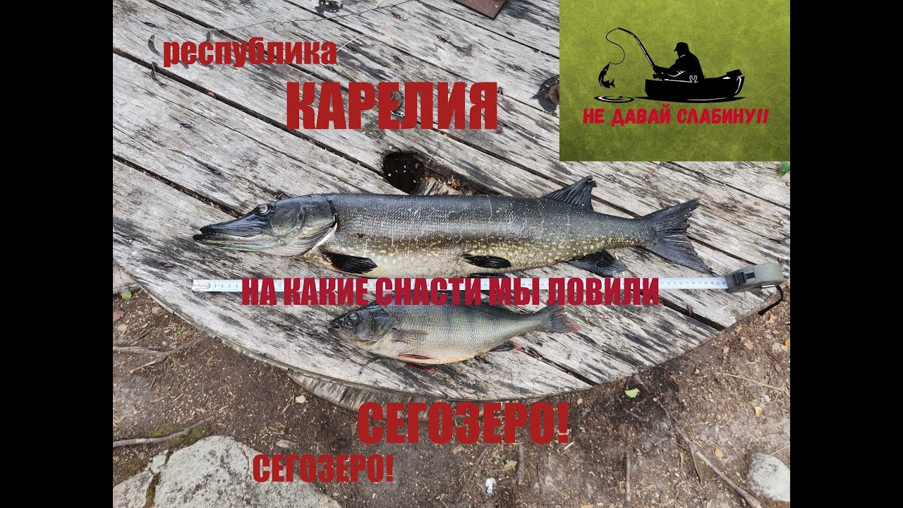 рыбалка в Карелии - Сегозеро - НА ЧТО И КАК ЛОВИЛИ!!!